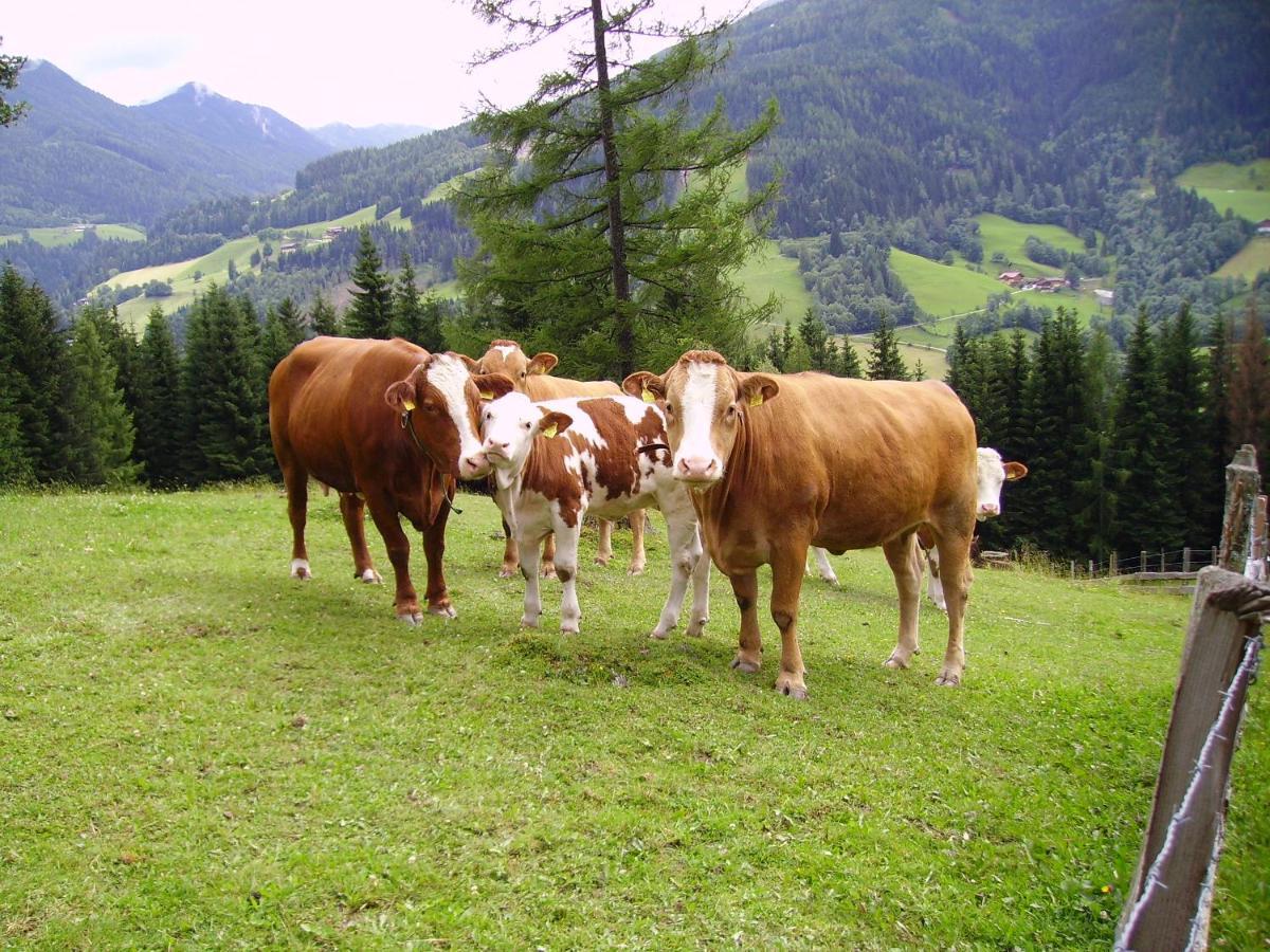 Mittergruberhof Bed and Breakfast Schladming Buitenkant foto